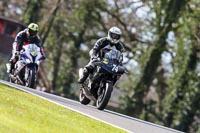 Oulton-Park-20th-March-2020;PJ-Motorsport-Photography-2020;anglesey;brands-hatch;cadwell-park;croft;donington-park;enduro-digital-images;event-digital-images;eventdigitalimages;mallory;no-limits;oulton-park;peter-wileman-photography;racing-digital-images;silverstone;snetterton;trackday-digital-images;trackday-photos;vmcc-banbury-run;welsh-2-day-enduro